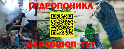 индика Будённовск