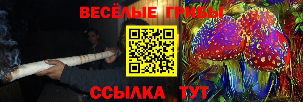 Галлюциногенные грибы Magic Shrooms  Вход с VPN  где купить   Луга 