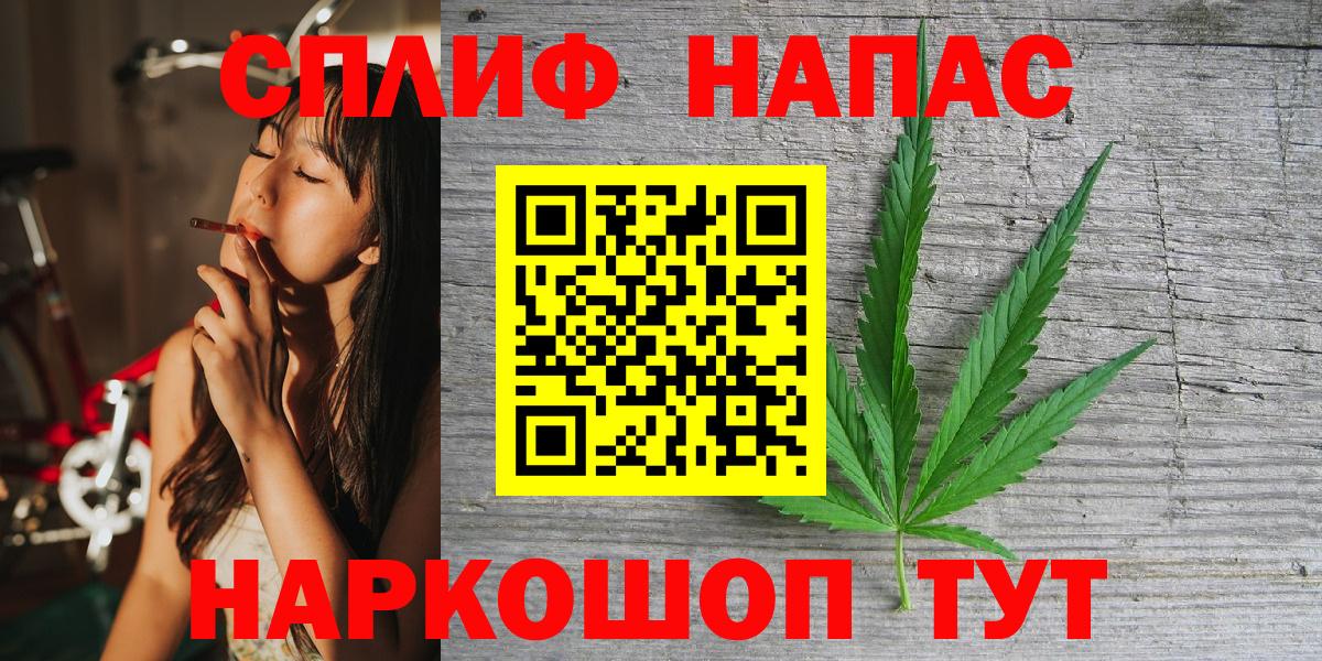 Бошки Шишки сатива Луга